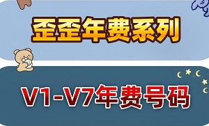 V1-V7年费号码